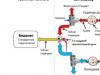 Optimal water temperature for humans Water flow and its regulation