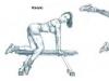 Кросовер: відведення ноги назад Відведення ноги у бік які м'язи працюють