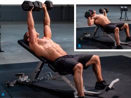 Everything you need to know about the dumbbell bench press exercise