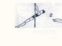 Teaching hangs in a gymnastics lesson at school Simple hangs in gymnastics
