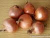 All about onions: benefits, facts, contraindications