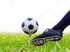 Football vocabulary in English: football or soccer Football topic in English translation