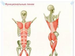Як швидко накачати м'язову масу тіла?