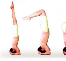 Headstand - benefits, harm, implementation Is it useful to stand upside down?