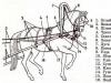 Harness for driving a horse