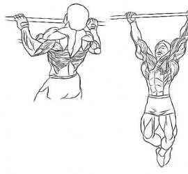 Pull-ups on the horizontal bar: training program (from scratch)
