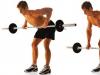 Exercises for training your back in the gym
